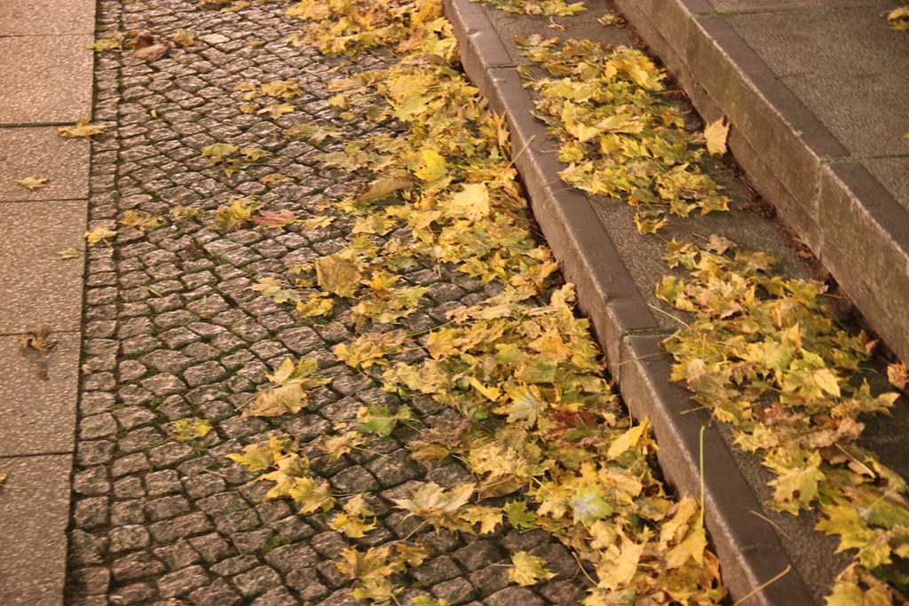 Family Health Trends in Berlin: How Local Practices Stack Up Against Global Wellness Movements