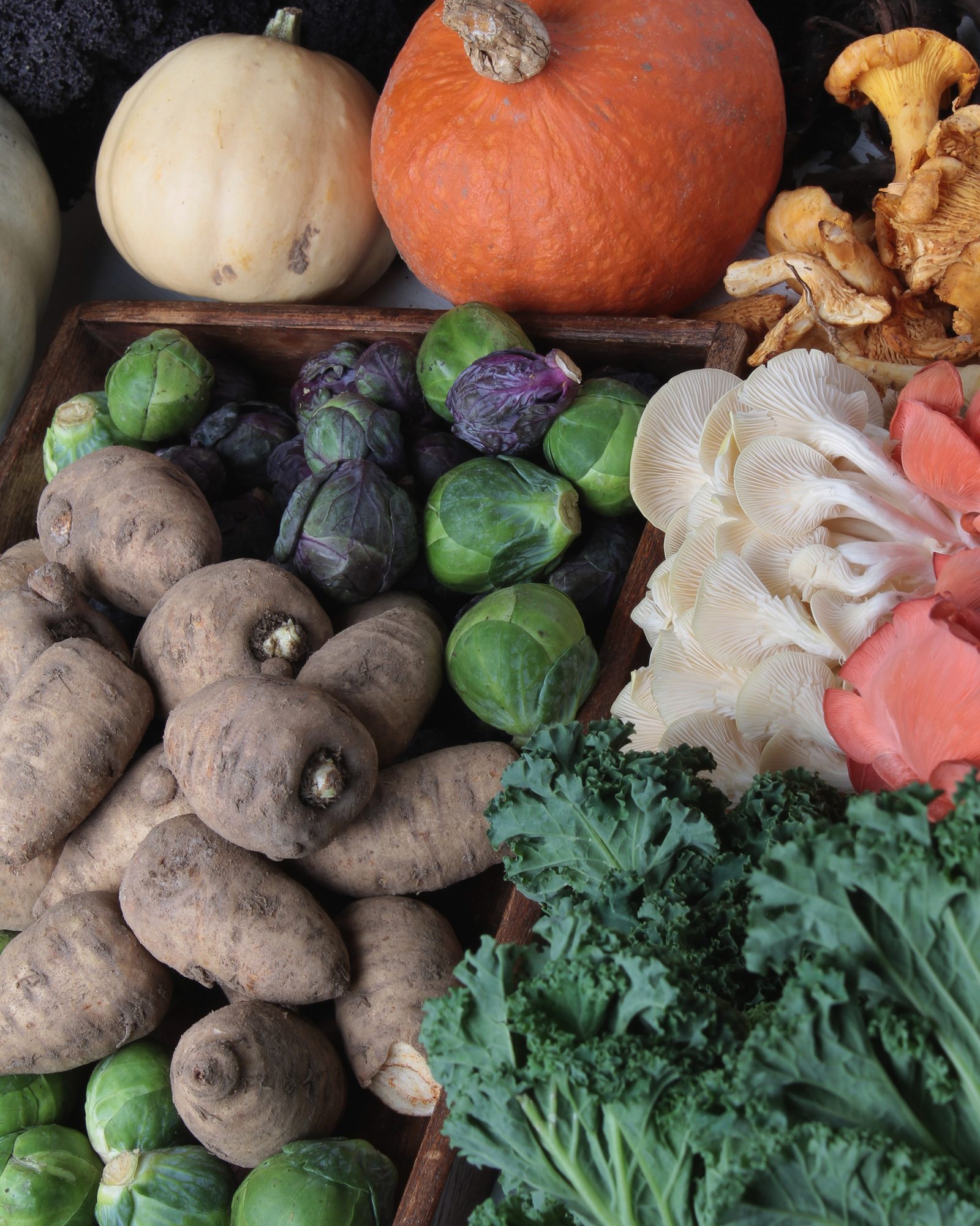 Five Seasonal Recipes Using Local Produce Available Now