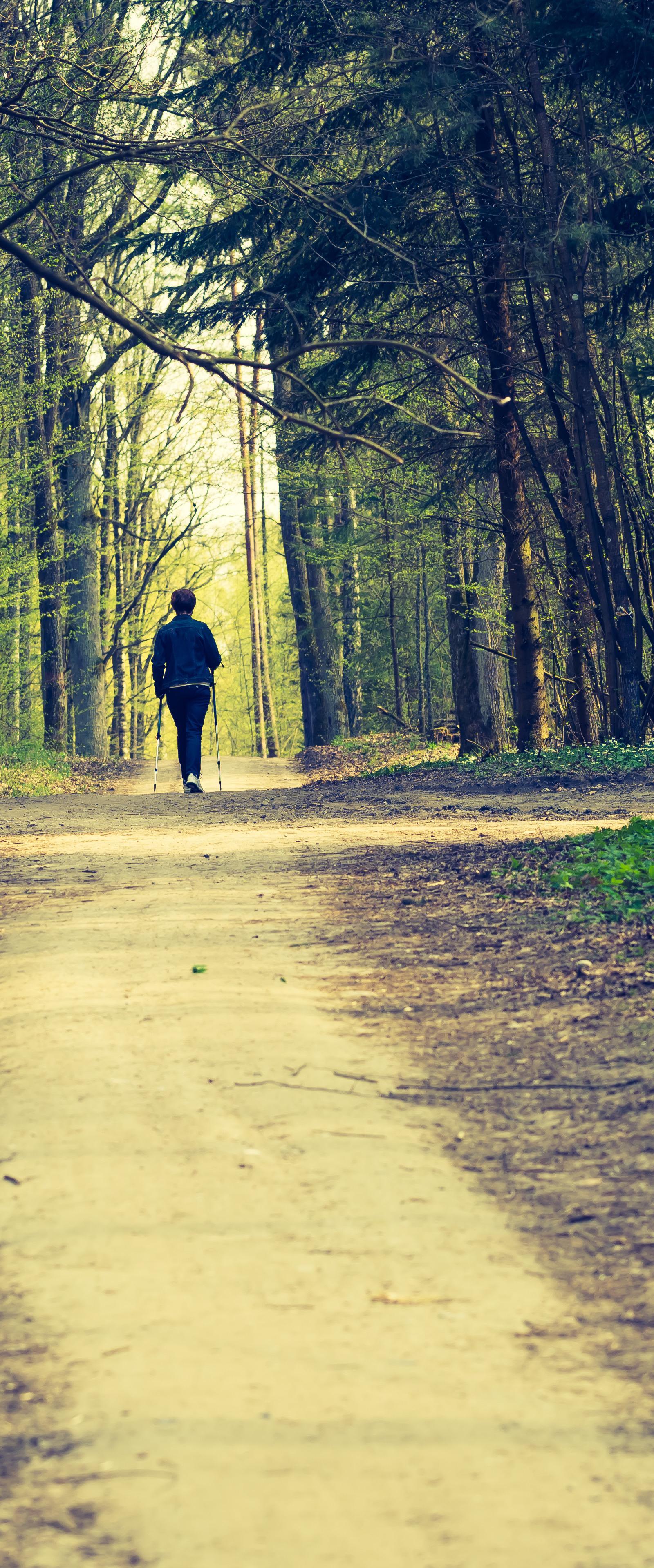 Berlin men boost wellness through walking groups, community initiatives