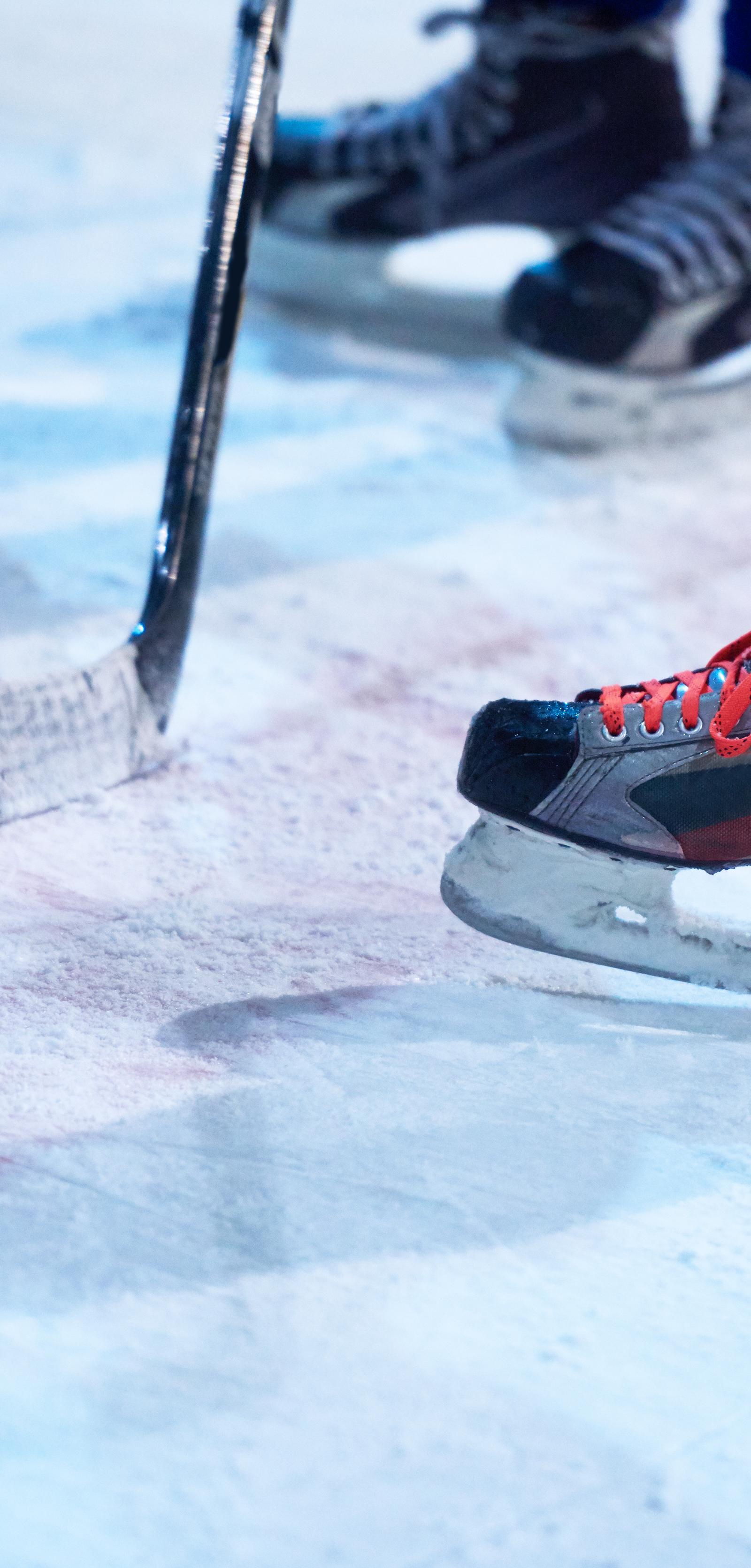 Berlin Teams Win: Ice Hockey, Water Polo, Rugby Results