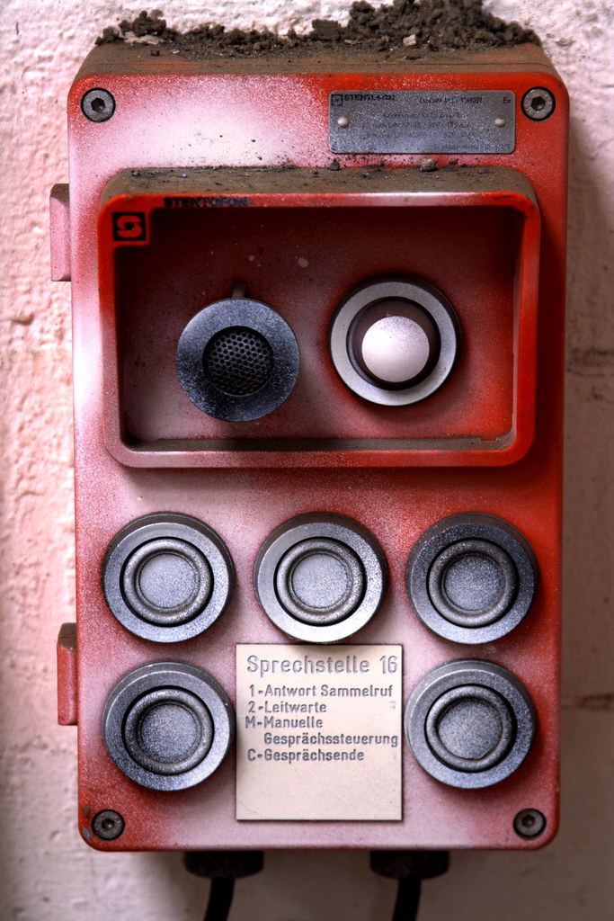 Digital Literacy Resources Reshape Daily Life for Berliners